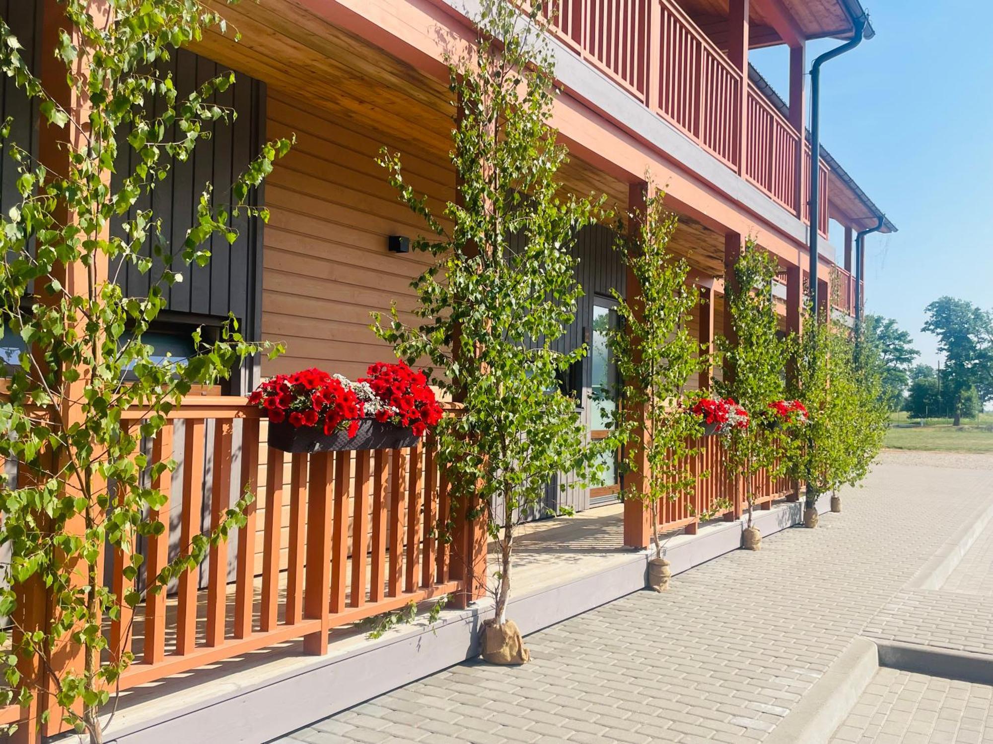 Apartment Bestes Koceni